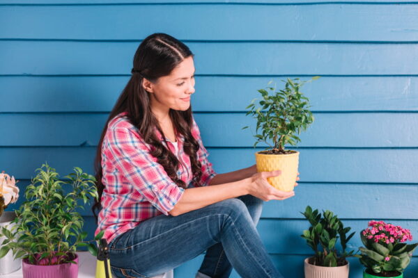 5 plante de exterior rezistente și ușor de întreținut