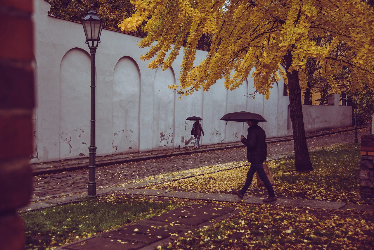 Prognoza meteo