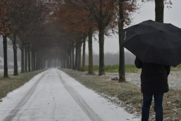 Prognoza meteo